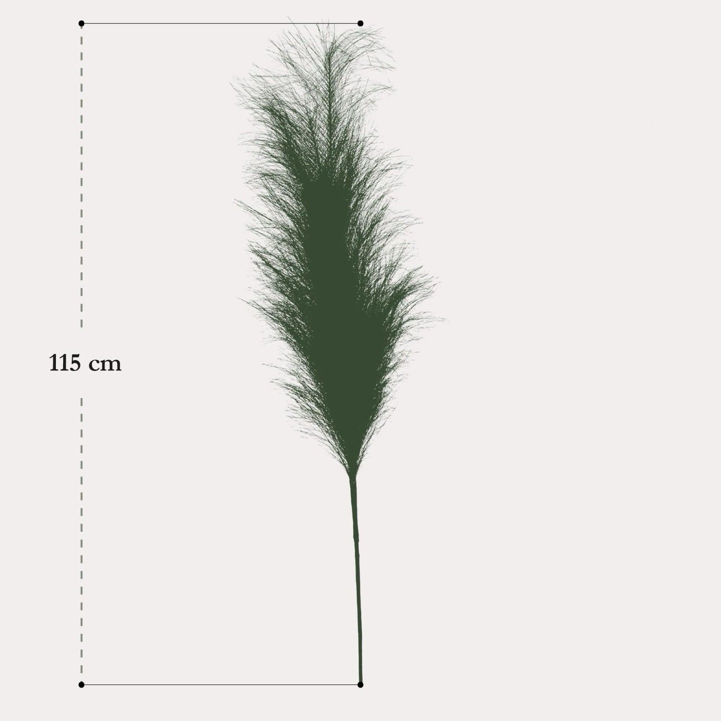Zijden bloemen Solo - Brown - Pampas Plumes - x 6 - 115cm