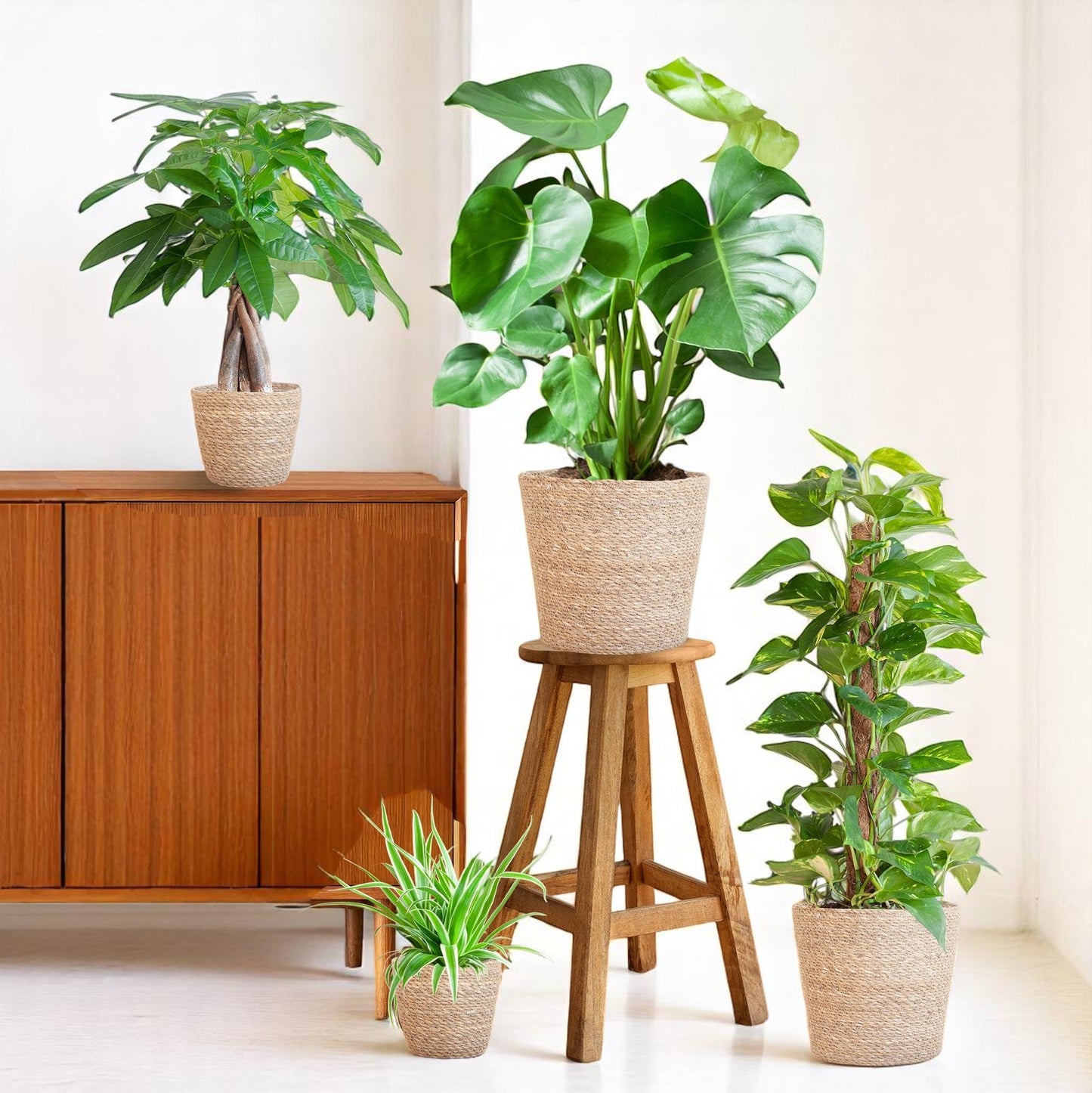 Easy Care Plantenbox β Medium β met mand Sofia