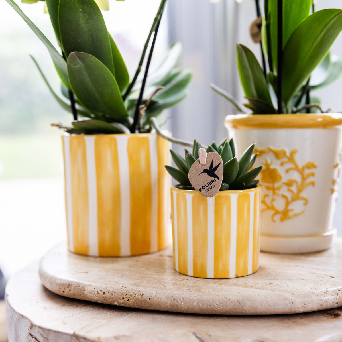 Orchidee & Groen – Pasen Mini Set
