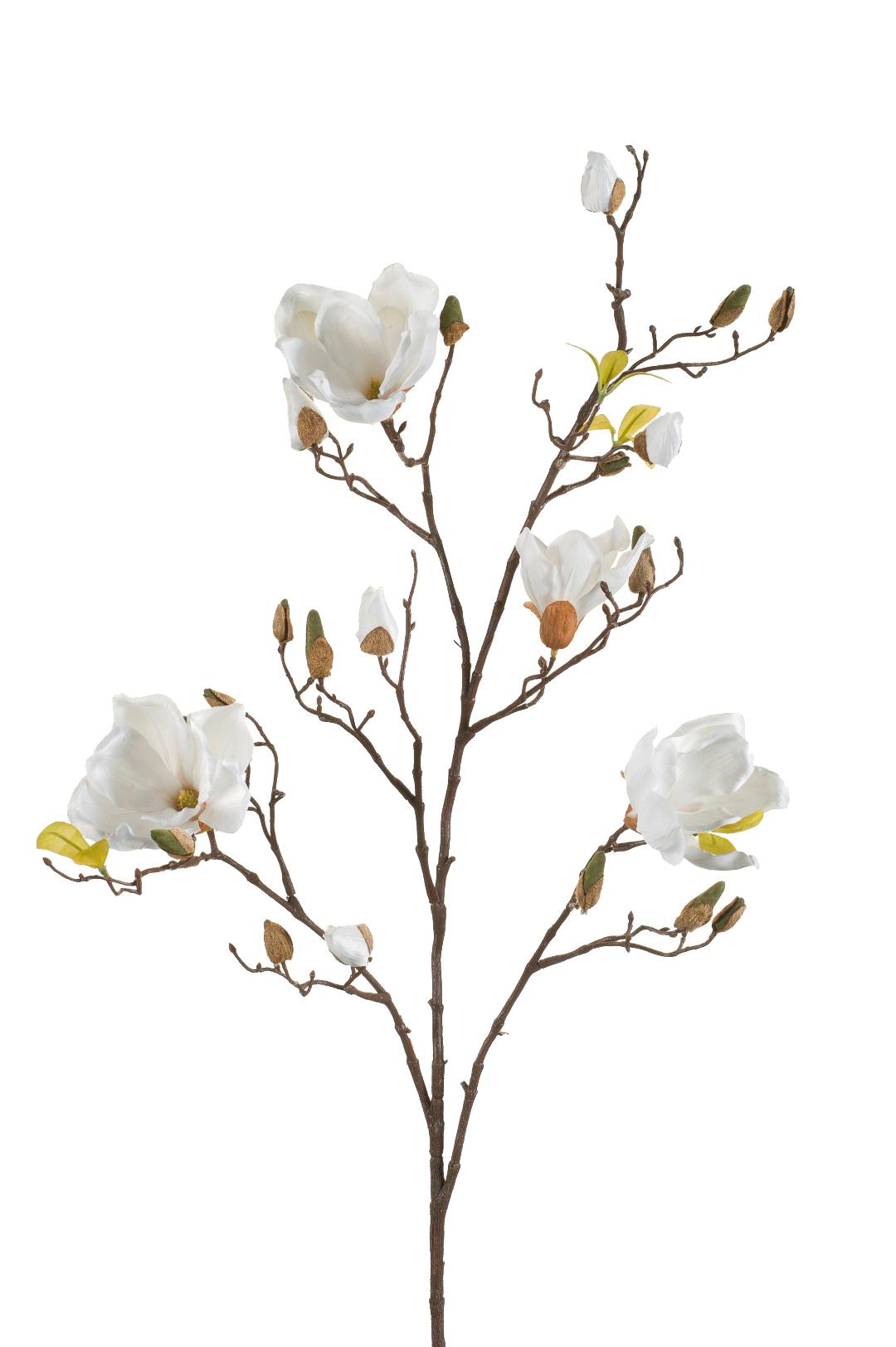 Zijden bloemen – Magnolia Takken – Crème – x4 – 105 cm