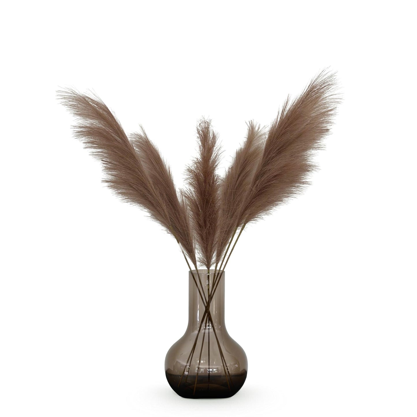 Zijden bloemen Solo - Brown - Pampas Plumes - x 6 - 115cm