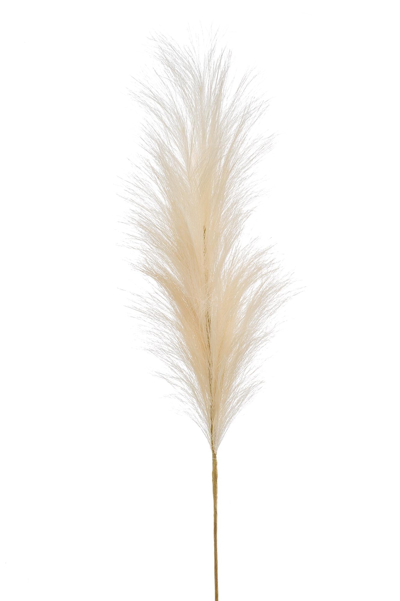 Zijden Pampas Pluimen – Crème – 6 stuks – 115 cm