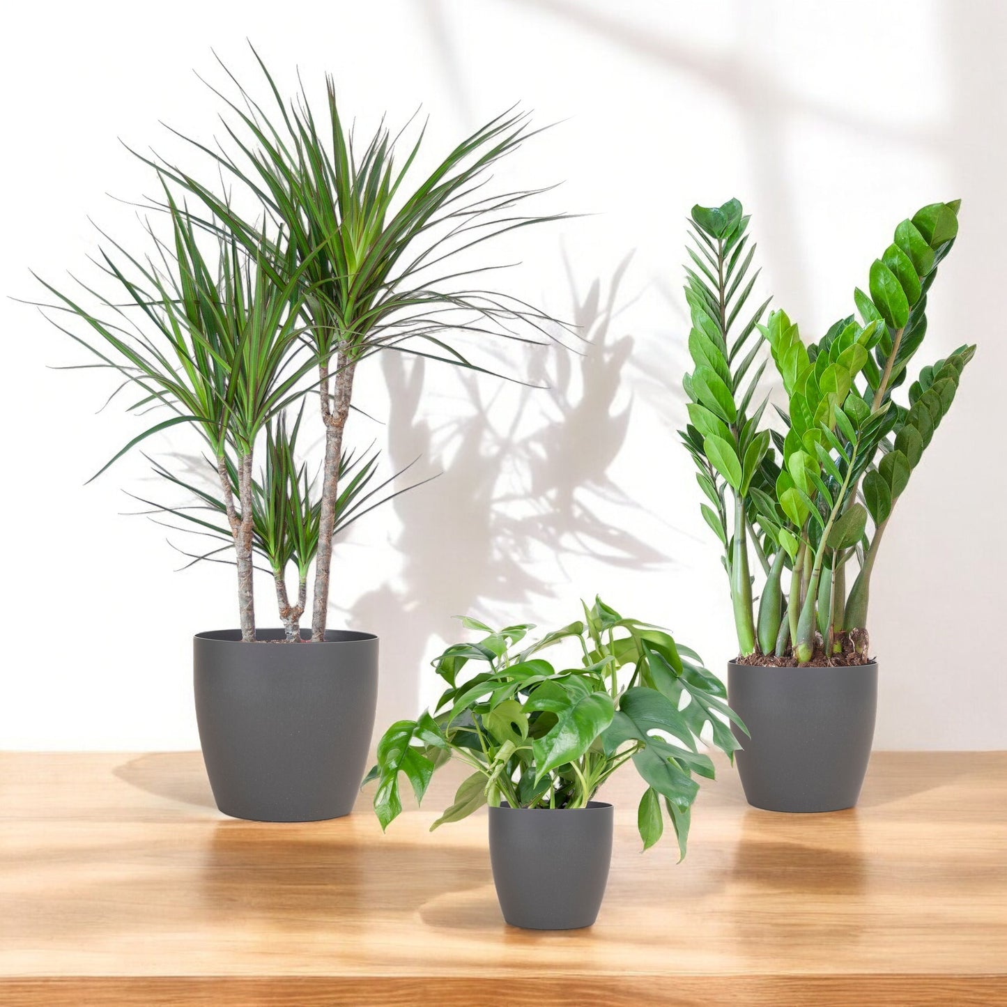 Schaduw Plantenbox – Medium – incl. Vibers pot grijs