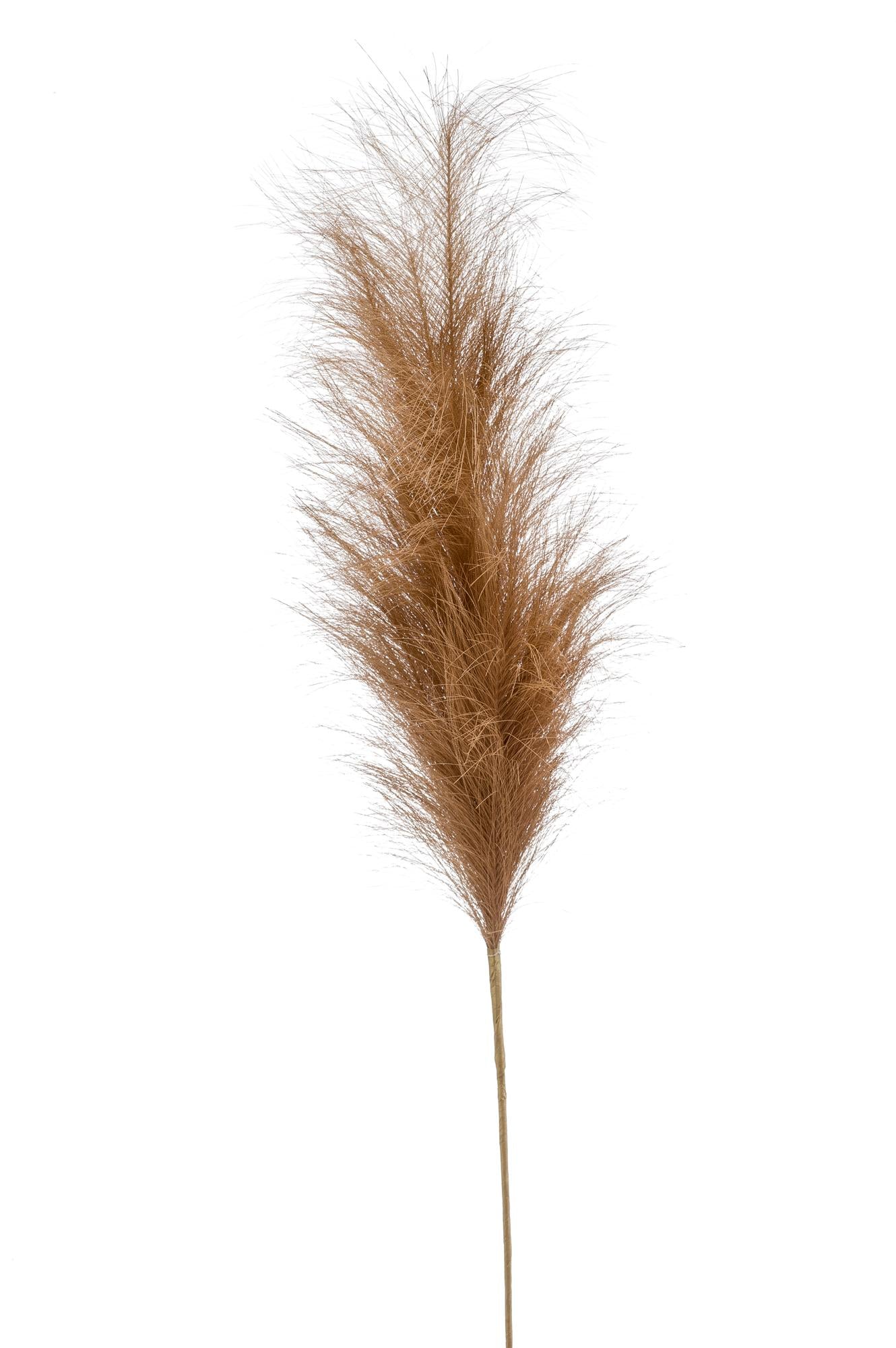 Zijden bloemen Solo - Brown - Pampas Plumes - x 6 - 115cm