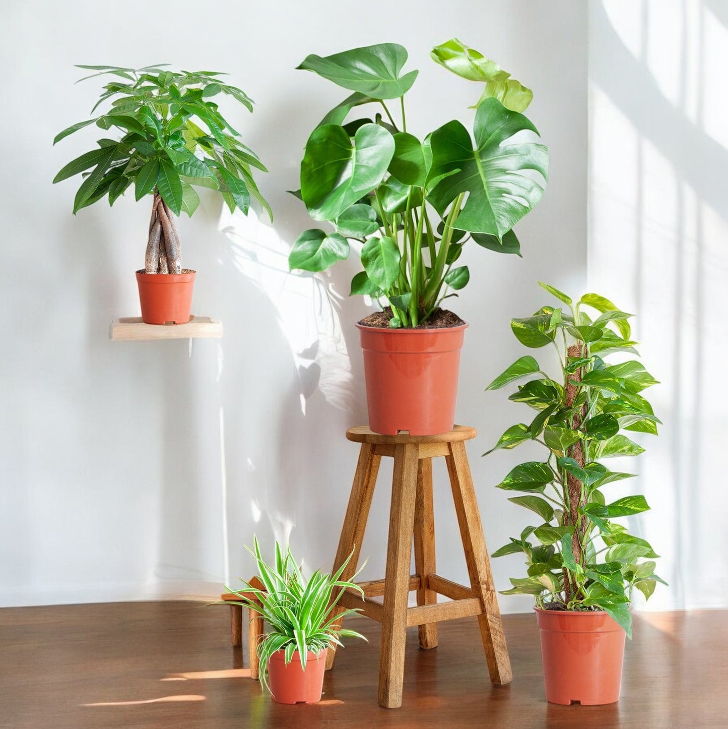 Easy Green Box – Plantenbox Medium (zonder sierpot)