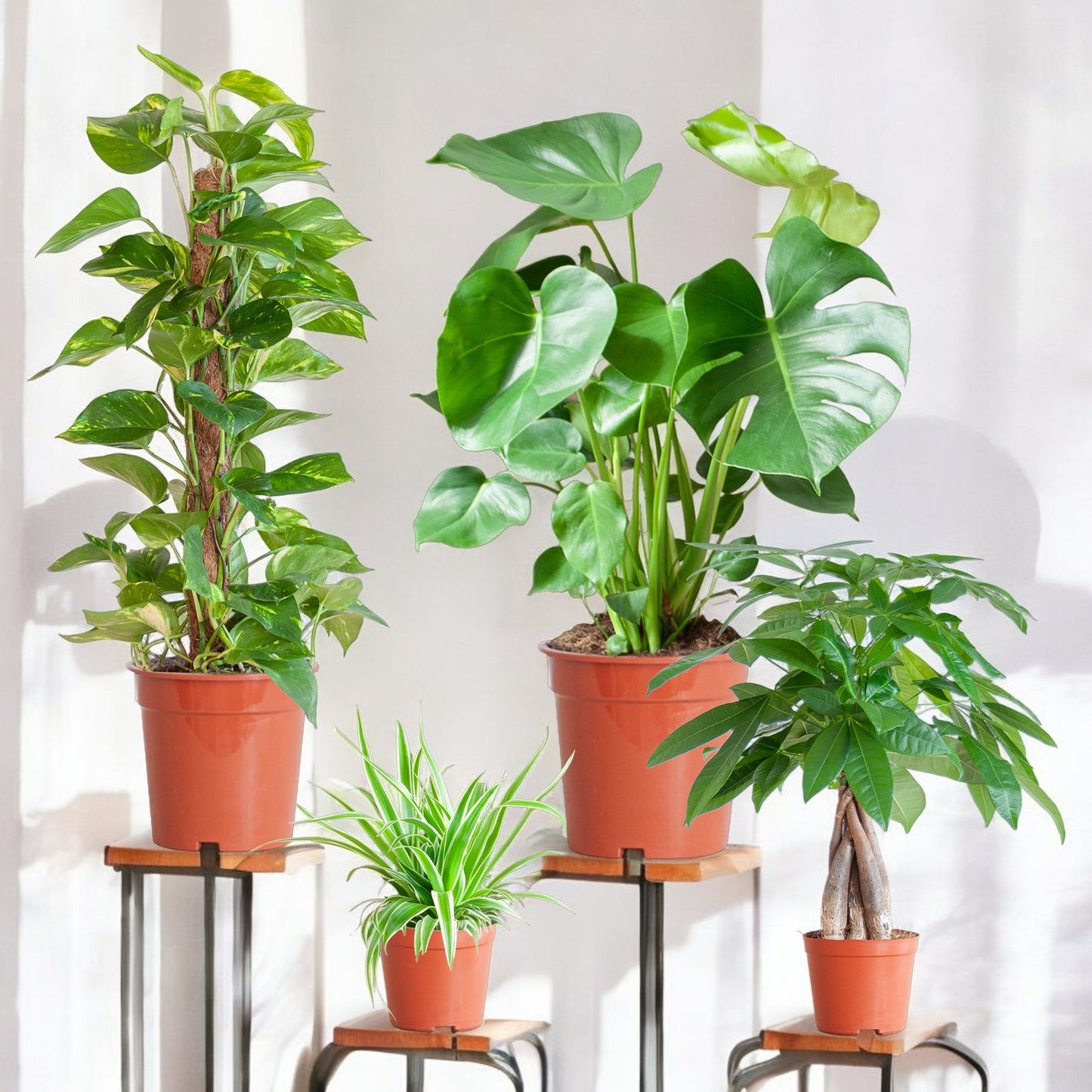 Easy Green Box – Plantenbox Medium (zonder sierpot)