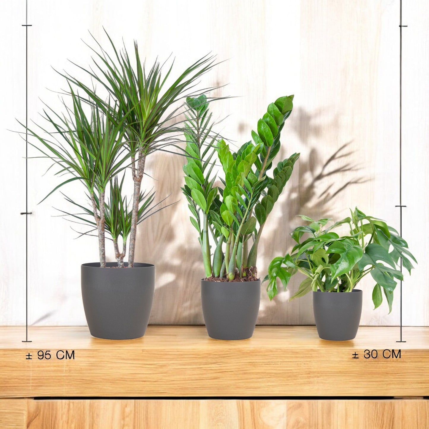 Schaduw Plantenbox – Medium – incl. Vibers pot grijs