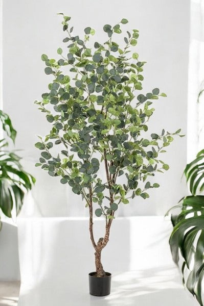 Kunstplant - Eucalyptus - Blauwe Gomboom - 180 cm