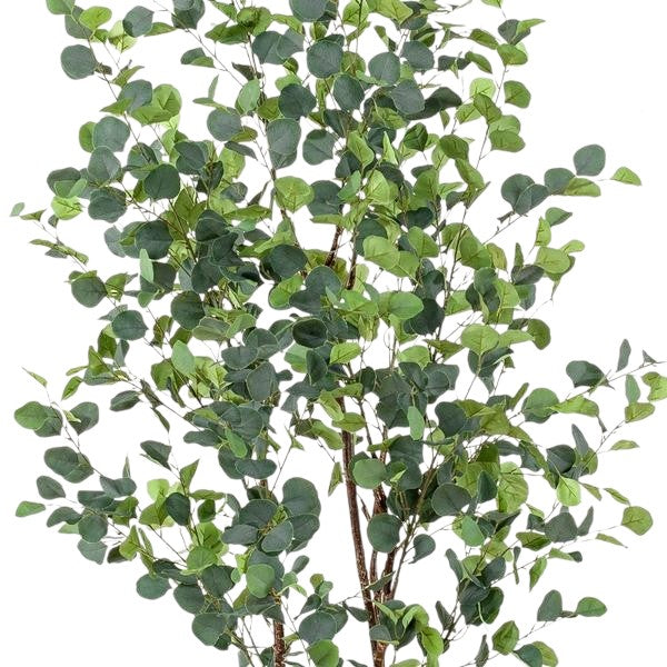 Kunstplant - Eucalyptus - Blauwe Gomboom - 180 cm