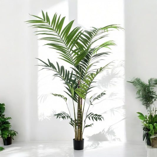 Kunstplant - Kentia -Kentiapalm - 210cm