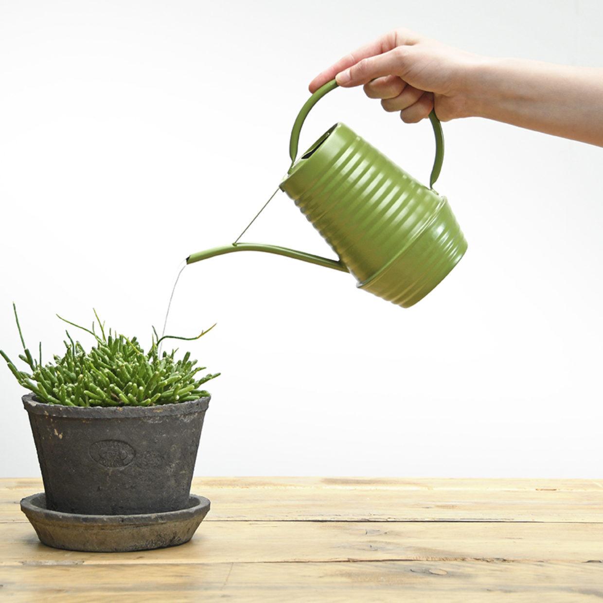 Bloemengieter – Zink – Groen – 1 Liter