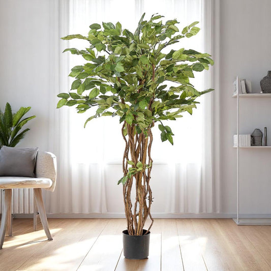 Kunstplant – Ficus Liana (↕ 140 cm)