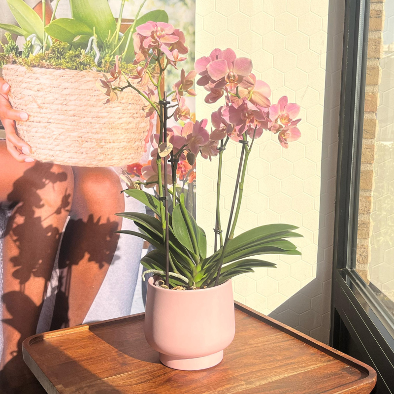 Scandic Bloempot – Roze (Ø12 cm)